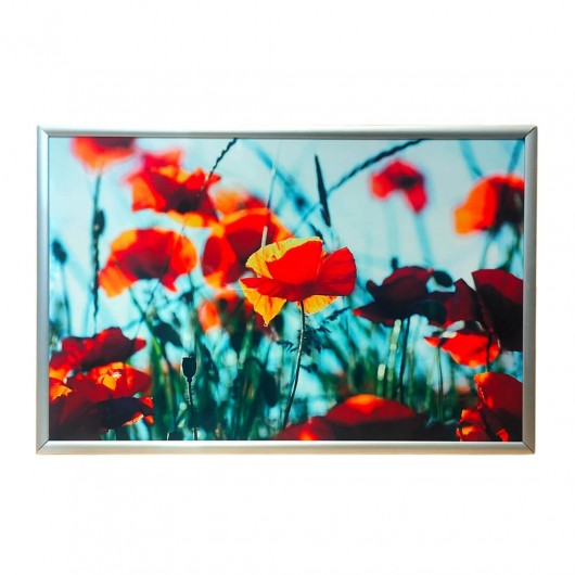 Cuadro campo de amapolas 30cm