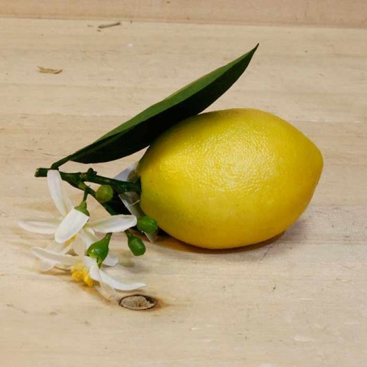 Fruta - Limón y flor 13cm