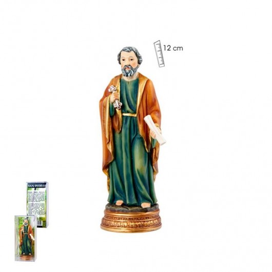 San Pedro 12 cm caja PVC
