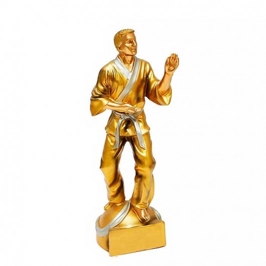 Trofeo Karate - Karateca en...