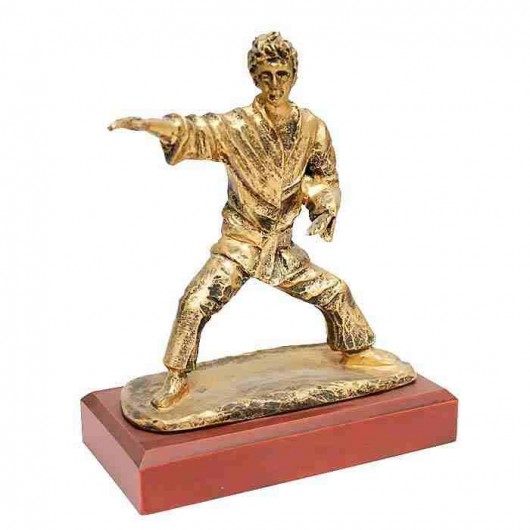 Trofeo Karate - Karateca en...