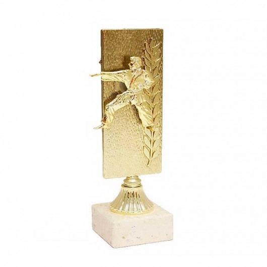 Trofeo Karate - Karateca...