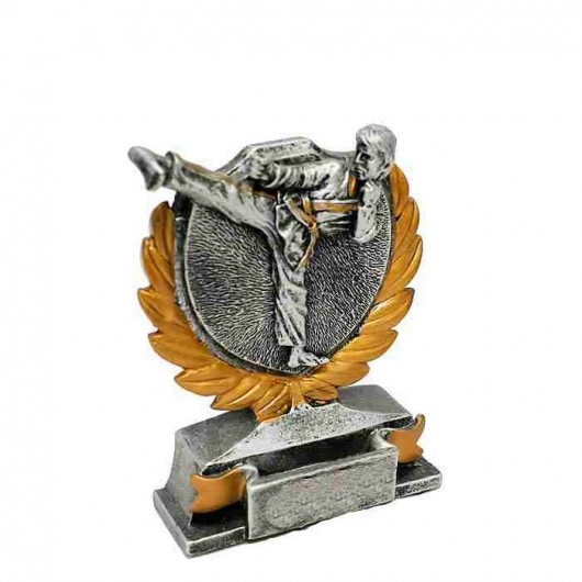 Trofeo Karate - Karateca y...