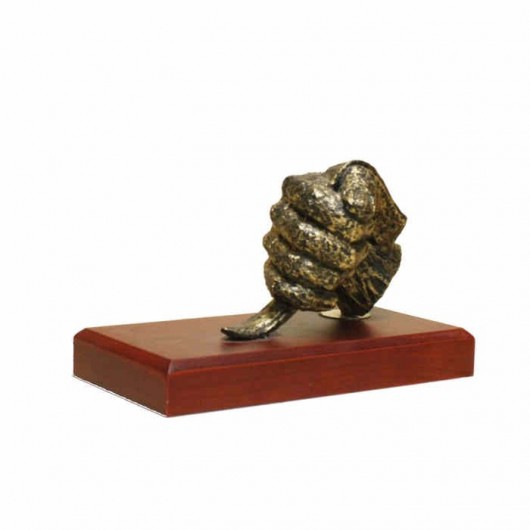 Trofeo Lucha Leonesa