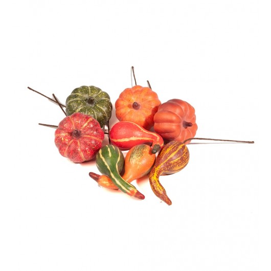 Calabaza 6-8cm (diferentes...