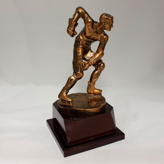 Trofeo Hockey sobre Hielo...