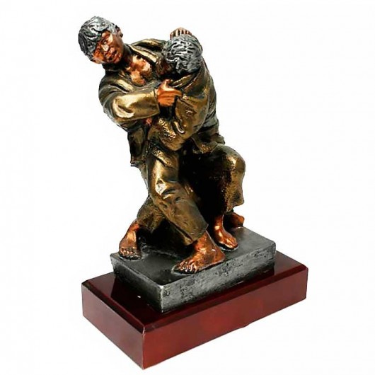 Trofeo Combate Judo en...