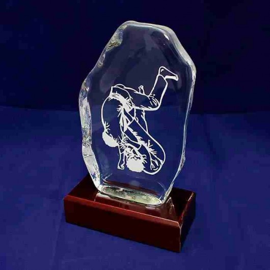 Trofeo Judo de cristal y...