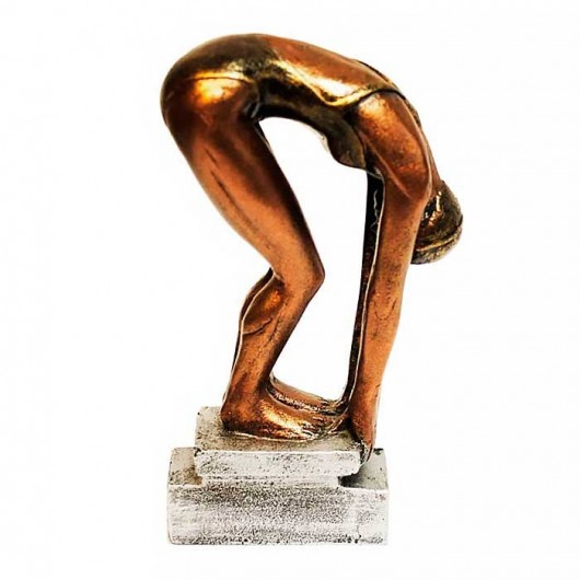 Trofeo de Natación Nadadora...