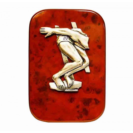 Trofeo de Natación Placa