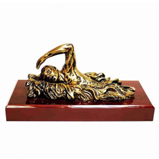 Trofeo de Natación Nadador...