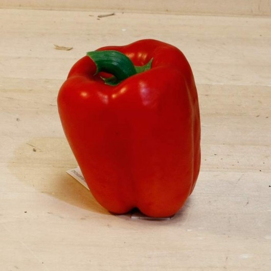 Hortaliza - Pimiento rojo...
