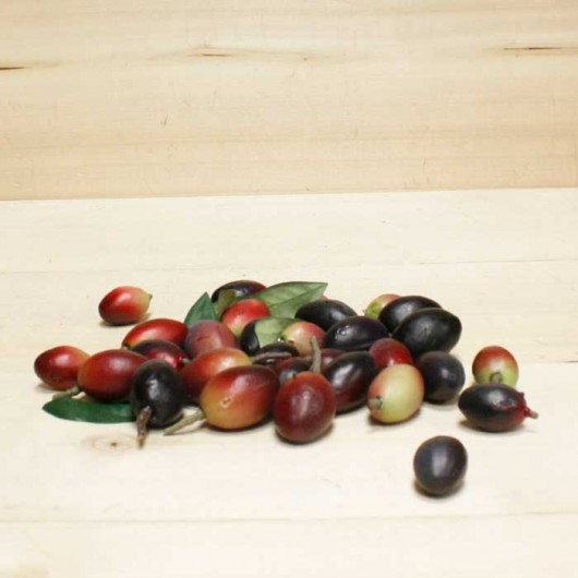 Fruto - Olivas negras bolsa...