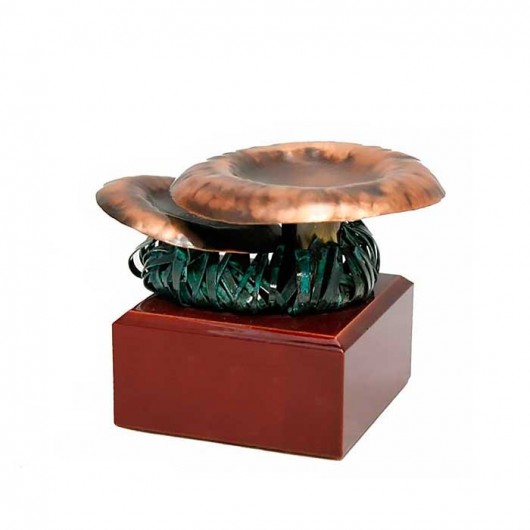 Trofeo Cocina - Micología...