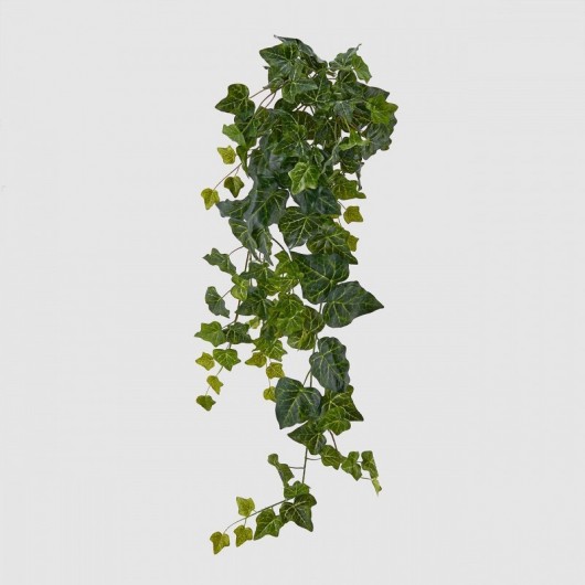 Enredadera Verde